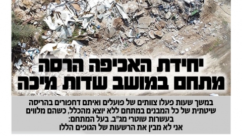 597-12.jpg