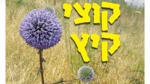 655-20.jpg
