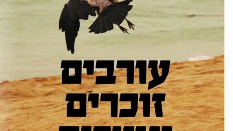 672-20.jpg