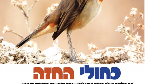 673-20.jpg