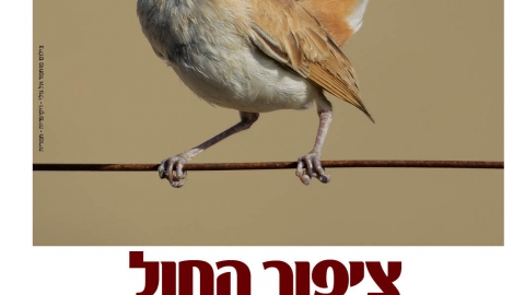 675-20.jpg