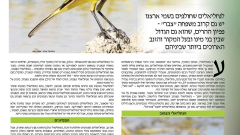 678-21.jpg
