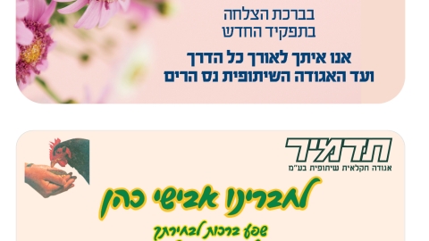 732-9.jpg