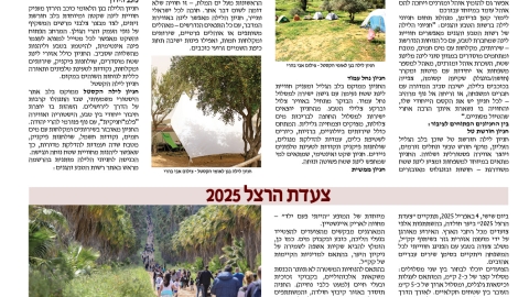 782-10.jpg