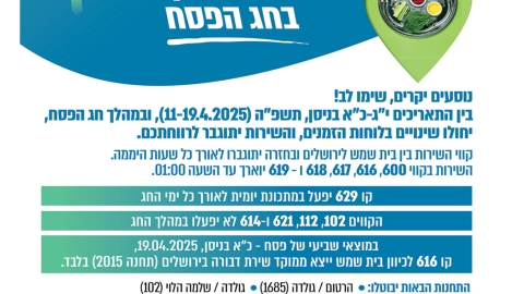 784-5.jpg