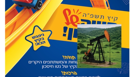 799-5.jpg
