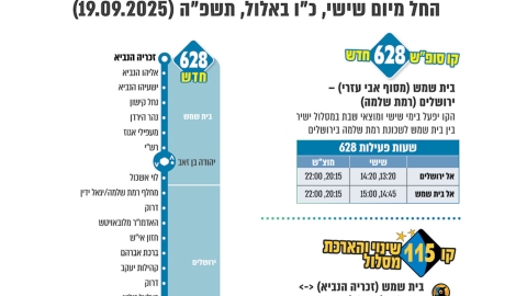 803-5.jpg