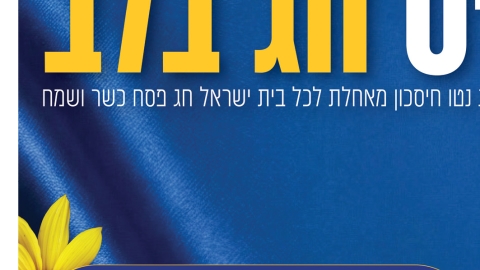 826-9.jpg