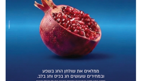 846-7.jpg