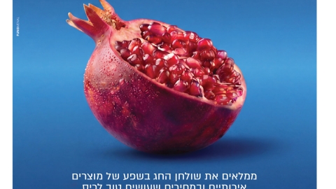 847-3.jpg